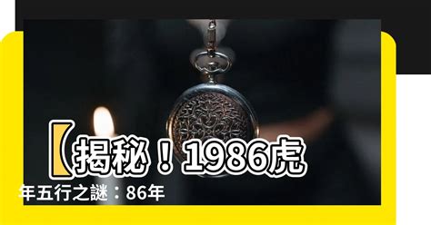 1986虎年五行